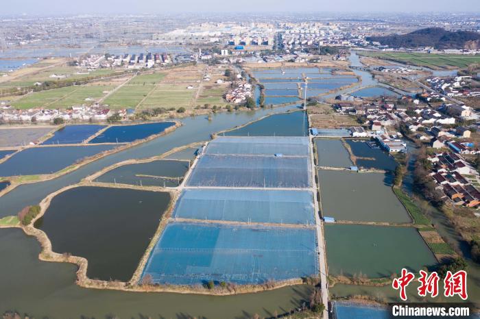 【十年@每一个奋斗的你】组建水产“创富联盟”：“95后”小伙的“数字渔业经”