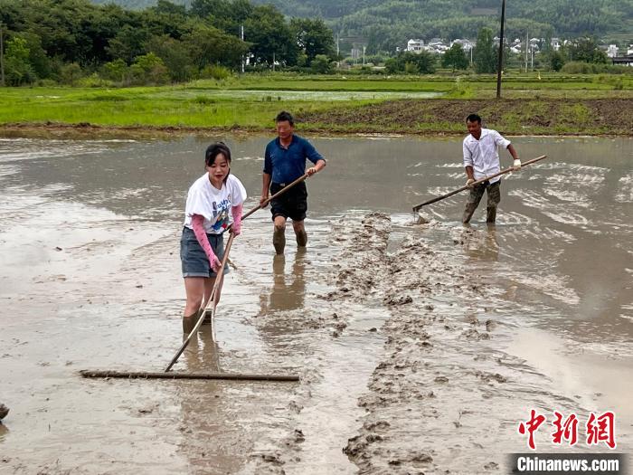 6月13日，回村女青年黄崔佳向村民学习平田技术。　潘成 摄