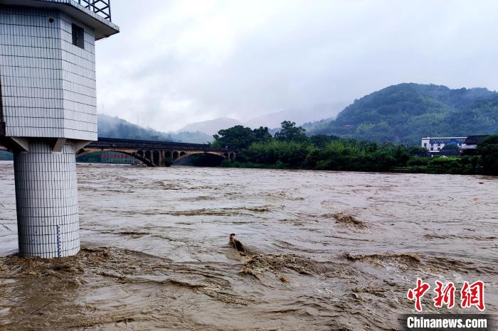 彼时河溪湍急,水位上涨迅速。 新罗区融媒体中心供图 彼时河溪湍急,水位上涨迅速。 新罗区融媒体中心供图