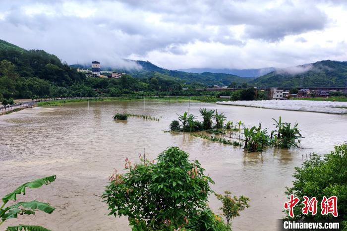 暴雨持续福建龙岩农牧渔业累计经济损失4.22亿元