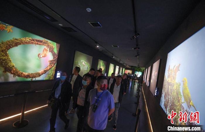 游客在艾雅康鸟类生态博物馆参观。　西昌市委宣传部供图