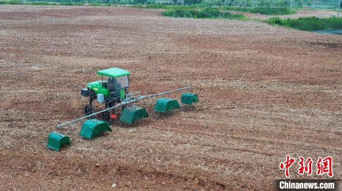 现代农机穿梭田间“大显身手”。　江苏大学供图
