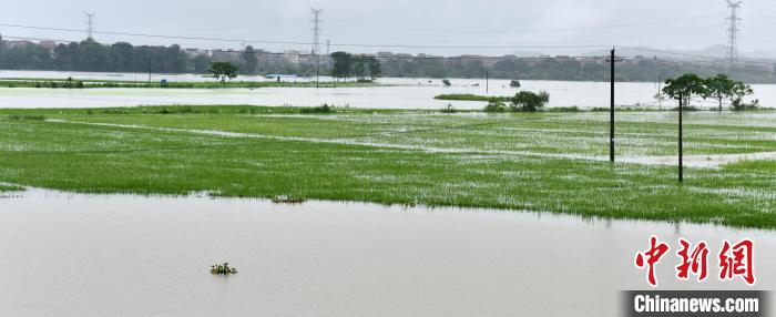 江西乐平启动防汛Ⅰ级应急响应暴雨致11万余人受灾（图）
