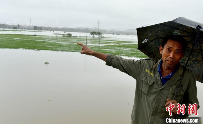 6月20日，江西乐平接渡镇连片的数千亩早稻田成为一片汪洋。　朱定文 摄