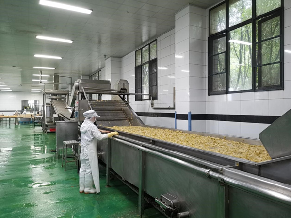 生产线上的半成品榨菜。奉节县委宣传部供图