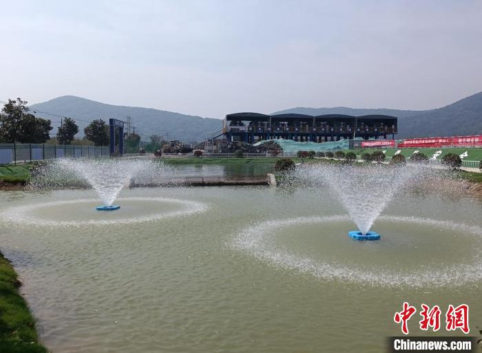 尾水进入进入生态净化池(渠)后,经处理可直接排放至内河。 孙权 摄 尾水进入进入生态净化池(渠)后,经处理可直接排放至内河。 孙权 摄