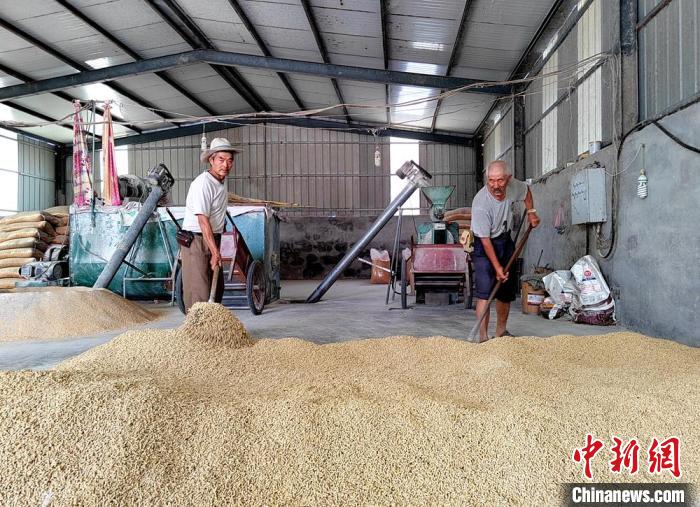 徐州鑫华农业发展有限公司两名职业农民用玉米、豆粕、麸皮、石粉等配料忙着生产肉种鸭饲料。 朱志庚 摄 徐州鑫华农业发展有限公司两名职业农民用玉米、豆粕、麸皮、石粉等配料忙着生产肉种鸭饲料。 朱志庚 摄