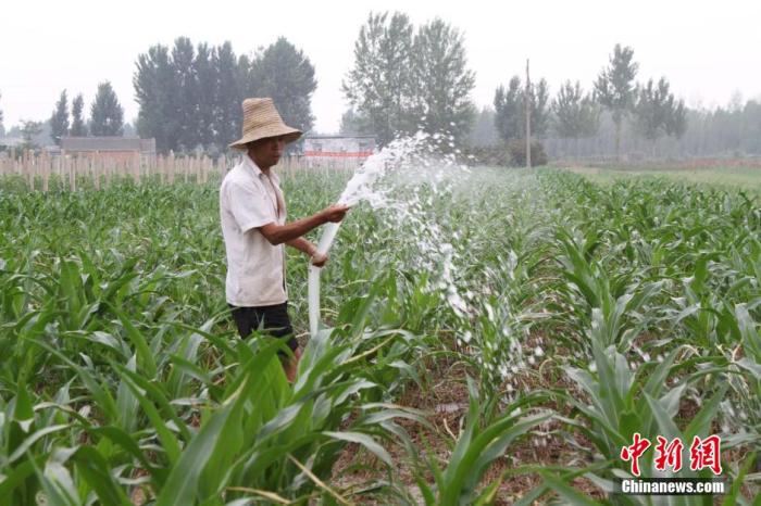 资料图：群众在浇地保苗。 王旭辉 摄