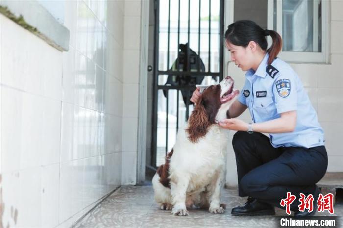 丁玉兰给“仔仔”梳理毛发 陆一平 摄 摄 丁玉兰给“仔仔”梳理毛发 陆一平 摄 摄
