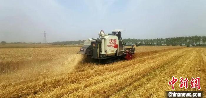 天津小麦秸秆粉碎还田160余万亩