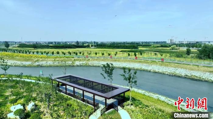 河湖景观+防洪屏障：河北邯郸滏阳河“生态廊道变身记”