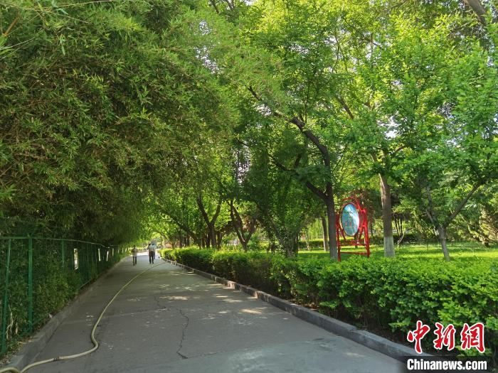 图为小西湖公园内绿树成荫。 杨娜 摄 图为小西湖公园内绿树成荫。 杨娜 摄