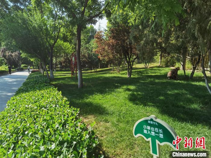 图为小西湖公园夏日景色。 杨娜 摄 图为小西湖公园夏日景色。 杨娜 摄