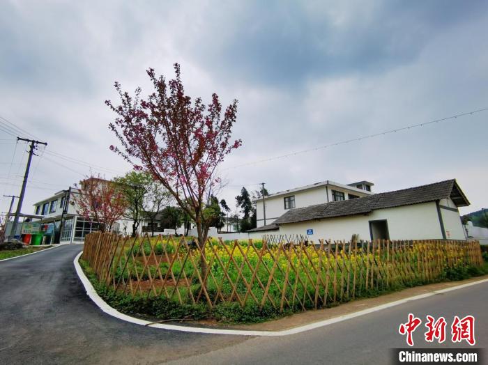 图为贵阳市乌当区甲岗村，用篱笆围成的小菜园。　周燕玲 摄