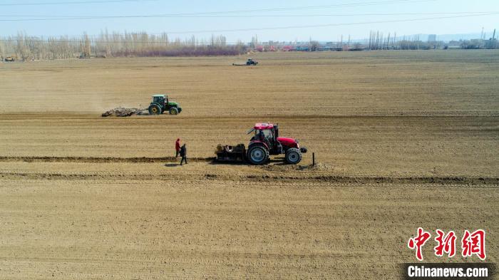 精河大力推广枸杞新品种、高效节水滴灌、机械化栽培等技术，通过规模化新植枸杞及提升改造老果园。资料图 马东强 摄