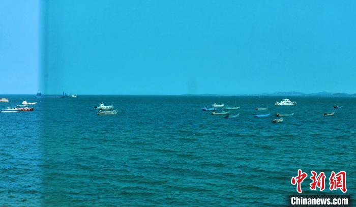 透过17路公交车窗，看见大海。　丁雷 摄