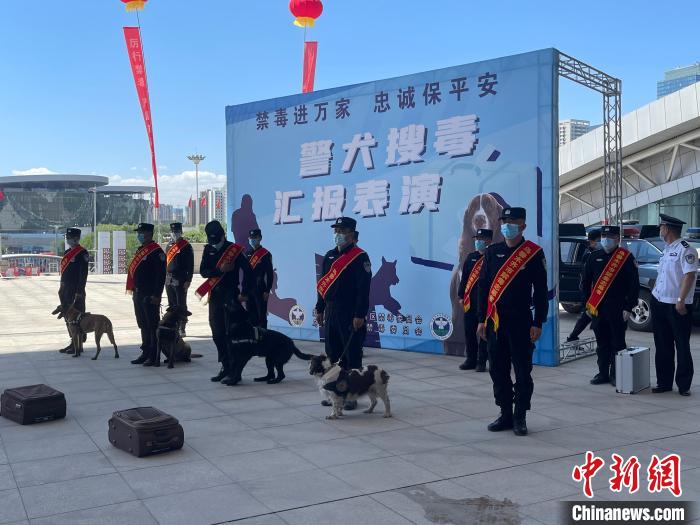 警犬搜毒汇报表演。 潘琦 摄 警犬搜毒汇报表演。 潘琦 摄