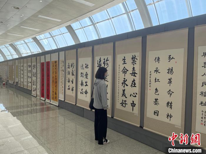 群众参观禁毒书画摄影展。 潘琦 摄 群众参观禁毒书画摄影展。 潘琦 摄