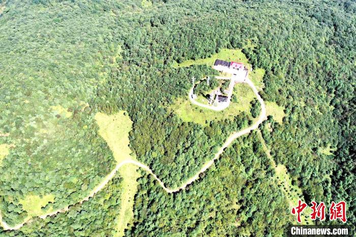 航拍保康县大水林场(资料图) 杨韬 摄 航拍保康县大水林场(资料图) 杨韬 摄