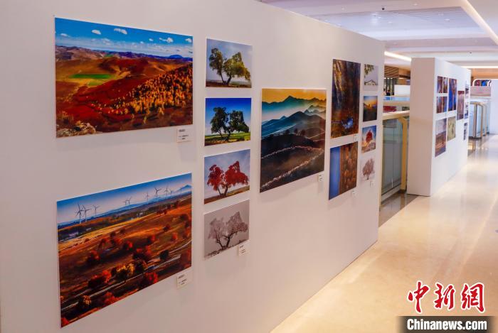 世界疏林草原摄影大展进京兴安盟打造“五角枫看世界”城市名片