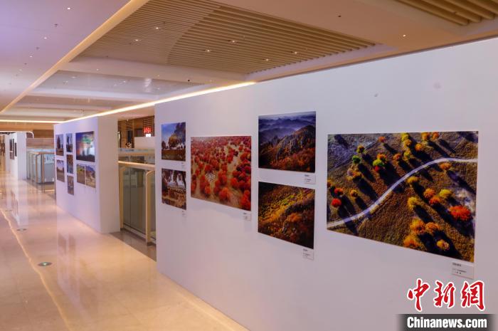 图为“兴安盟·五角枫”杯世界疏林草原摄影大展现场。 毕力格 摄 图为“兴安盟·五角枫”杯世界疏林草原摄影大展现场。 毕力格 摄
