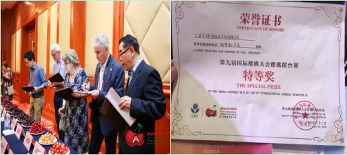 大连瓦房店大樱桃再获殊荣