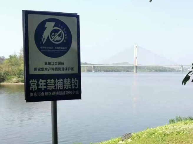非法捕捞必被“捕”！九龙坡警方捣毁水产种质资源保护区“捕购销”犯罪产业链