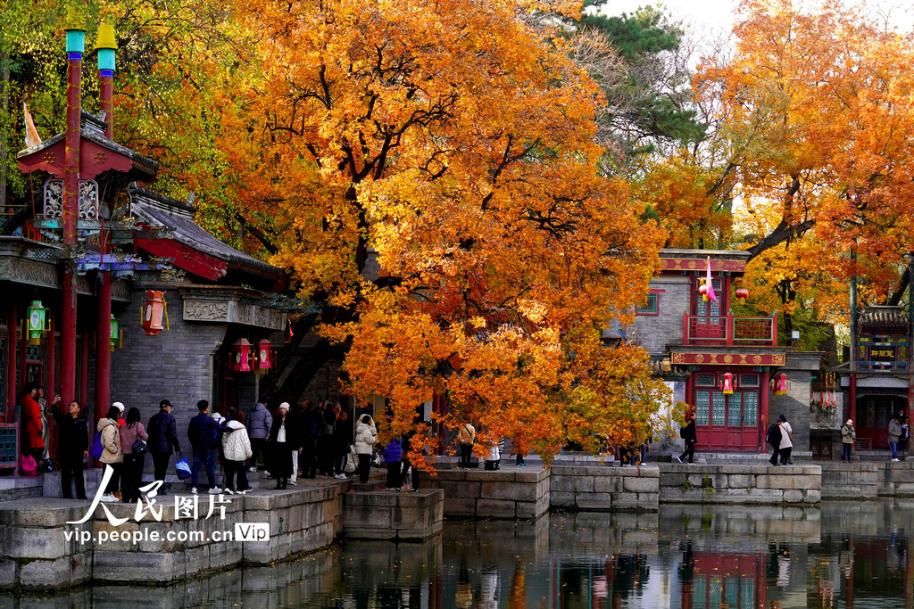 颐和园：冬日彩叶缤纷 美景如画
