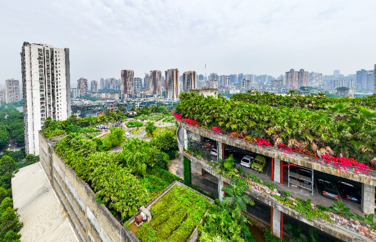 5月7日，位于南岸区的美心集团园区楼顶绿植成片，鲜花盛开。员工们在这片被称为“高楼绿洲”的口袋公园中开展插秧、抓鱼比赛，享受绿色工厂带来的美好。记者 齐岚森 摄