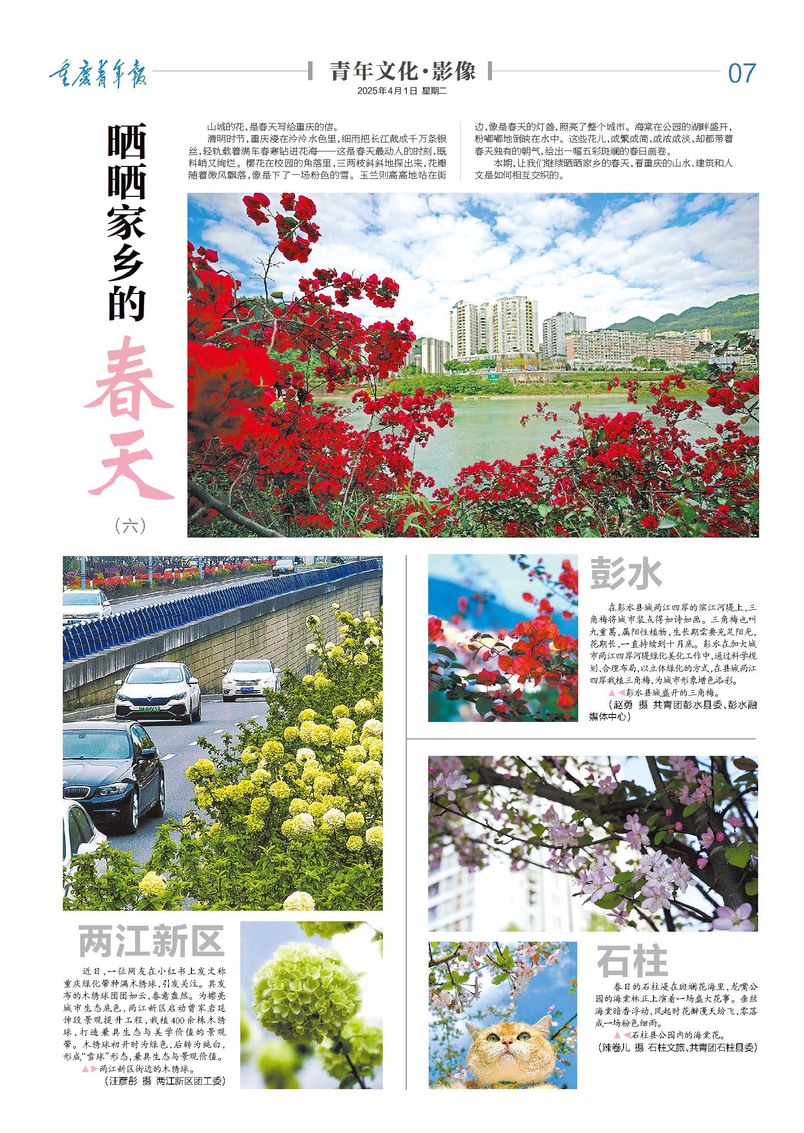 07-晒晒家乡的春天